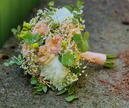 Blumen Hirter Bild 10