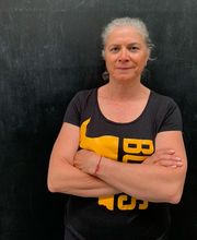 Box Bulls Factory imagen 3