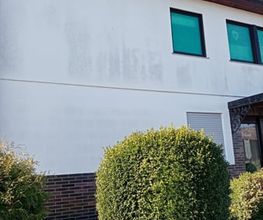 Fassaden-Steinreinigung Renz Bild 5
