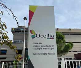 OCELLIA image 3