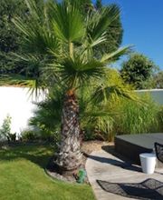 Max Paysages image 1