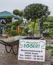 Eggert Pflanzenhof Inh. Rolf Tietjen Bild 2