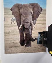 Impact Impression image 2