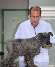 Argos Clínica Veterinaria imagen 5
