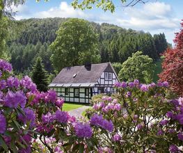 Hotel Gut Vorwald Bild 13