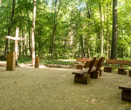 FriedWald Goch-Tannenbusch Bild 6