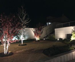 223747197-1-DELGcFdp851562845825534.jpeg