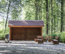 FriedWald Planitzwald Bild 8