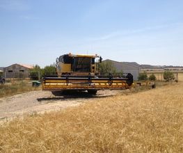 225356203-1-tSdOfukHEs1527697284325.jpeg