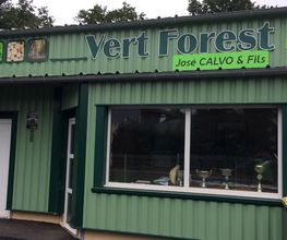 Vert Forest Fils image 3