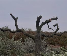 EMPRESADETALATARRAGONA.jpg