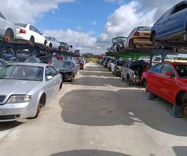 225397348-1-atihQ9Wlwc1712520629639.jpeg