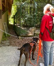 Glückliche Hundepfoten by Catrin Hendl-viel mehr als nur Hundetraining Bild 10