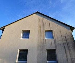 Dachreinigung-Saarland | Firma Neff Bild 1