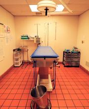 East Hampton Veterinary Group image 14