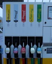 Shell Bild 2