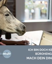 büromeister Heike Zeitler Bild 3