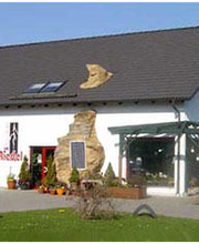 Riedel Elektro Bild 1