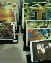 Farré Desvals image 1