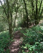 Godard Séverine image 5