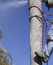 Debarrastout image 2