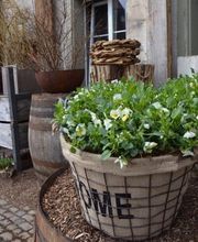 ART NATURAL stucki Bild 12