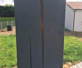 MS BOIS image 4