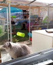 L'arche de Corinne image 15