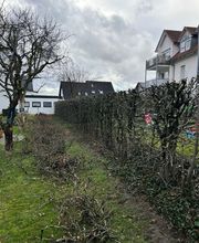 Gartenservice Mark Miess Bild 48