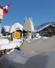 Hotel Restaurant Schönau Bild 6