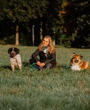 TEAMH Hundeschule Schömberg Bild 15