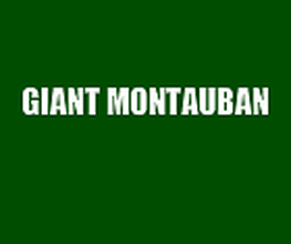 Giant image 5