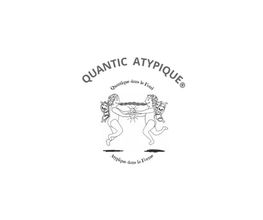 QUANTIC ATYPIQUE image 7