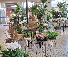 Floria Blumen Bild 19
