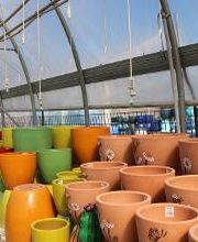 Breshear's Nursery & Greenhouse image 9