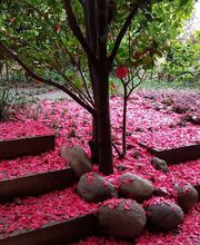 Bernasconi Willy SA Bild 1