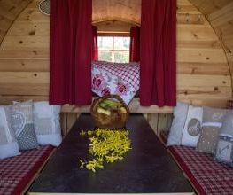 Camping Erbenwald Bild 11