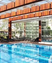 Saulnier Stéphane image 1