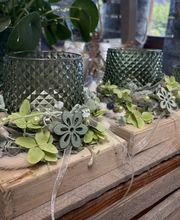 Blumen Grütter Bild 11