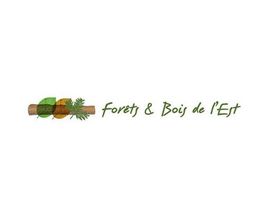 FORET D'ICI image 2