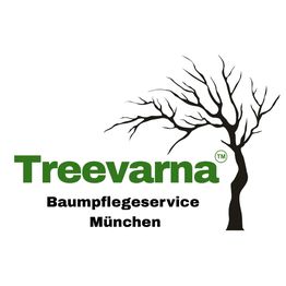Treevarna Baumpflege München