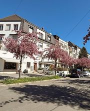 Kita Baselini Bild 1