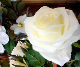diazfloristasrosasblancas.jpg