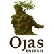Ojas-Energie