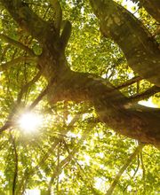 Bestattungshaus Brunner & Stiefel GmbH Bild 1