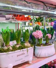 Le Langage Des Fleurs image 11