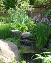 Walter Schmitz Gärten für Auge und Seele Bild 14