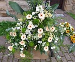 Blumen Dahlmann Bild 7