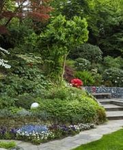 Alabor Gartenbau AG Bild 1