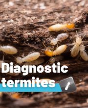 Activ'Expertise Cabourg Littoral Normand image 2